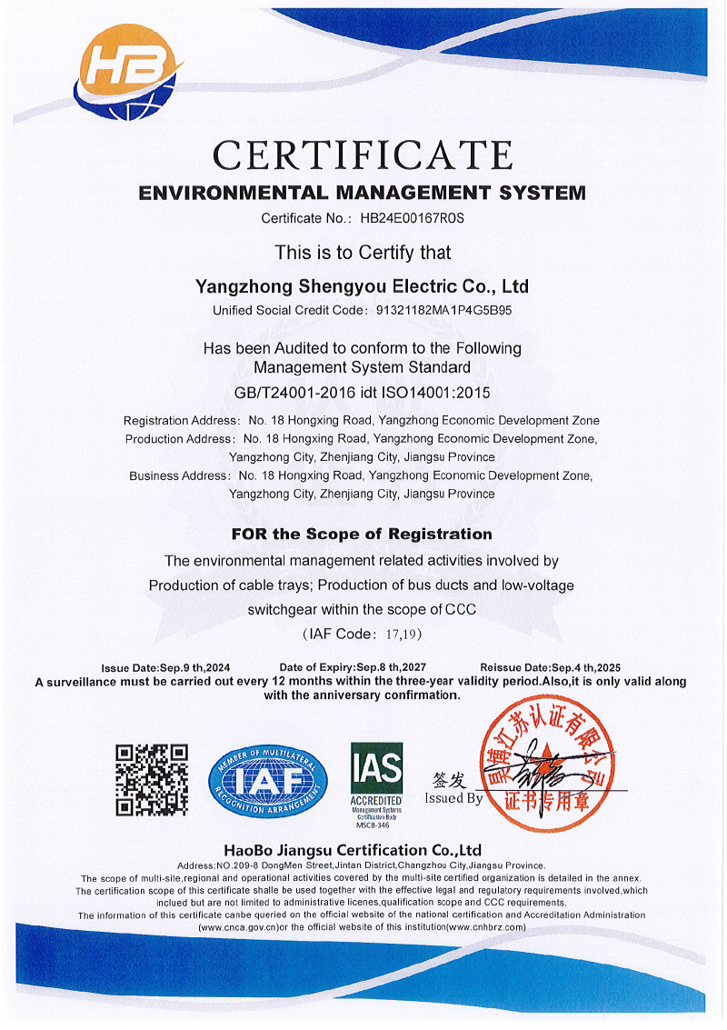 扬中市盛友电气有限公司  QES  监一(1)-4.jpg